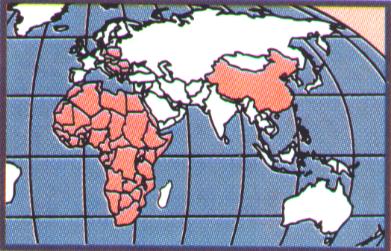 The locations of all the hamsters on earth recently