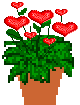 pot of hearts