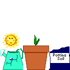 animated tulip