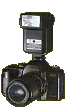 flashcamera.gif