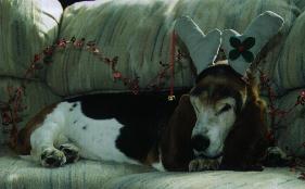 Lucy in antlers
