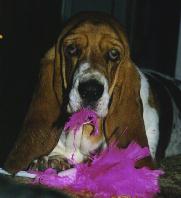 Cheers and the pink feather duster