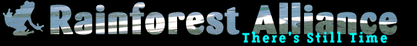 Rainforest Alliance logo