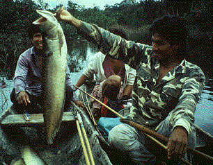 fishing