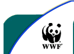 WWF Logo