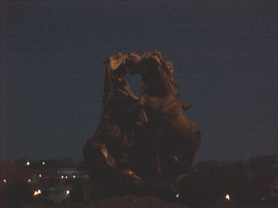 the Fighting Stallions
