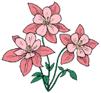 floral