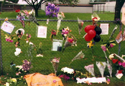 1_3.jpg (105170 bytes)