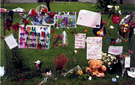 11_3.jpg (106049 bytes)