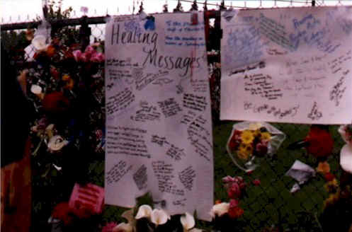 2_1.jpg (49483 bytes)