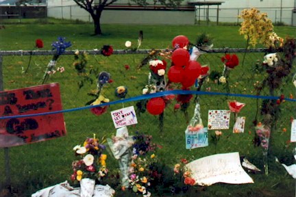 3_3.jpg (95707 bytes)