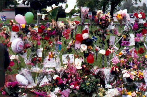 7_1.jpg (79303 bytes)