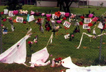 7_3.jpg (93771 bytes)