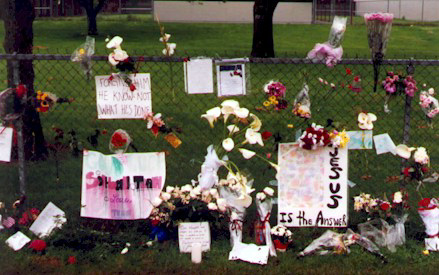 8_2.jpg (98625 bytes)