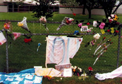 8_3.jpg (98548 bytes)