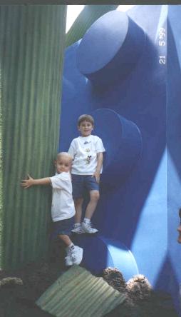 Honey, I Shrunk the Kids!