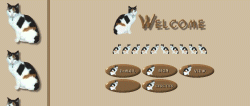 Cat set