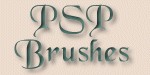 PSP brushes