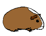 peanut