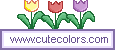 Cute colors graphics