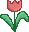 tulpje