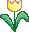 tulpje