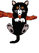 lapjeskat