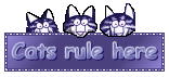 cats rule here