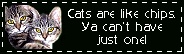 cats are like chips, ya cant have just one