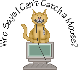 catch a mouse
