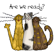 ready to purr