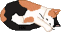 kleine pollie