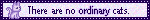 mel2.gif