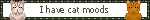 I have cat moods