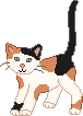pol3.gif
