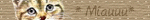 tany2.gif