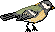 vogel