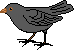 vogel
