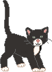 wiz3.gif