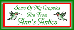 logo Ann's Antics