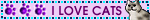 hidden3.gif