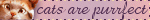 tany2.gif