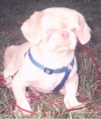 pekssebastiona19999