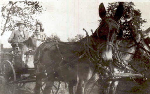 GranpaEvans19142.jpg (92798 bytes)