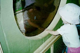 Elliana at animal farm