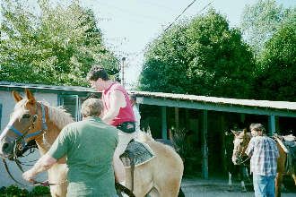 Horse1