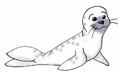 seal