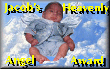 Jacob's Heavenly Angel Award