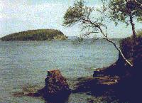 Bar Harbor