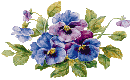 VIOLET NOSEGAY